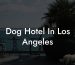 Dog Hotel In Los Angeles