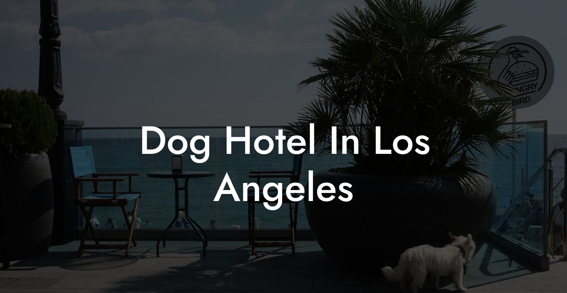 Dog Hotel In Los Angeles