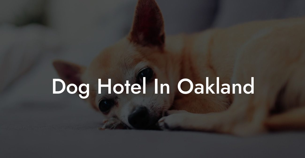 Dog Hotel In Oakland