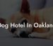 Dog Hotel In Oakland