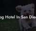 Dog Hotel In San Diego