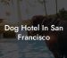 Dog Hotel In San Francisco