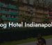 Dog Hotel Indianapolis