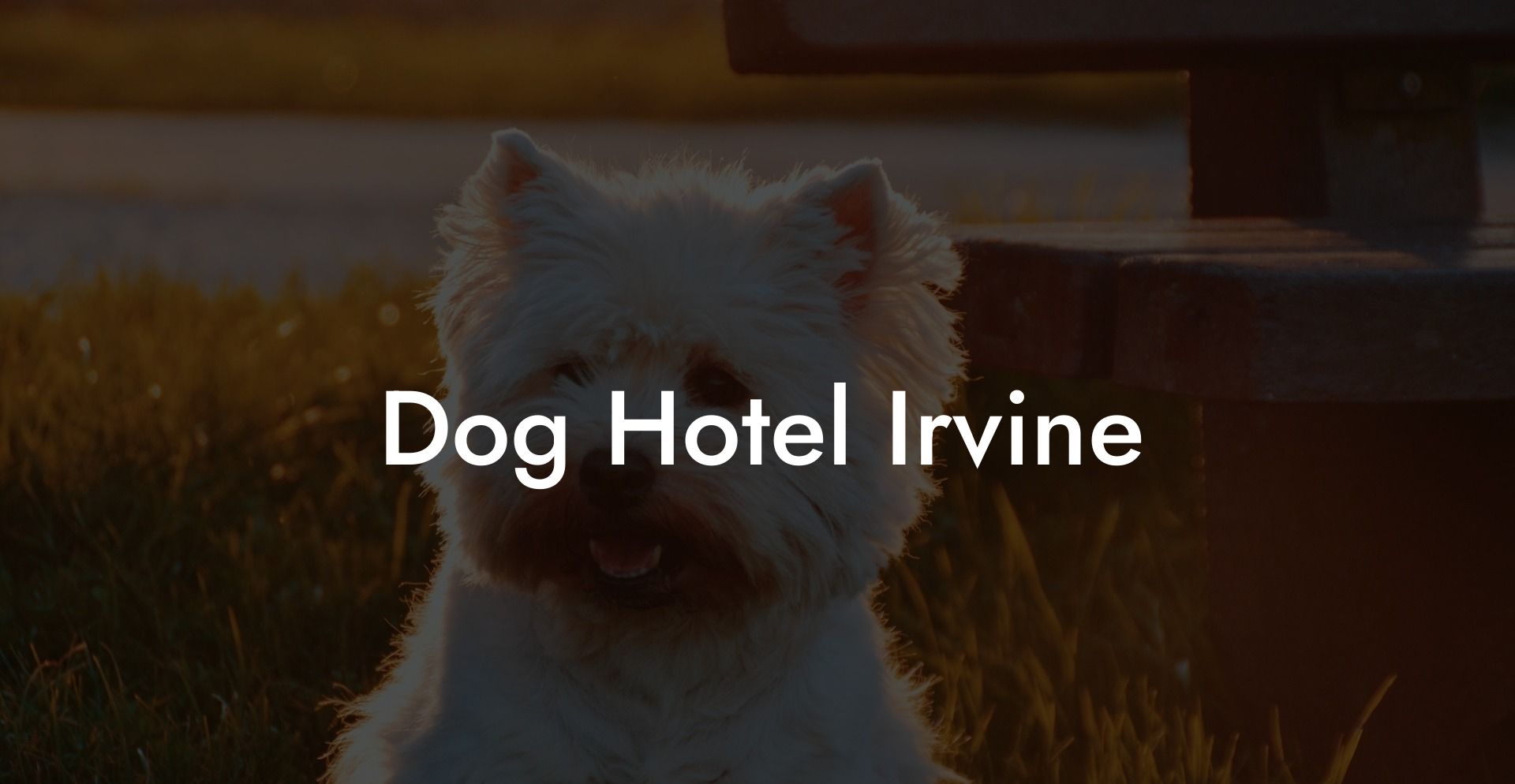 Dog Hotel Irvine