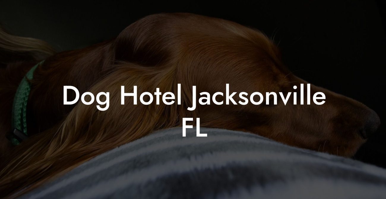 Dog Hotel Jacksonville FL