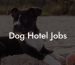 Dog Hotel Jobs