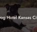 Dog Hotel Kansas City