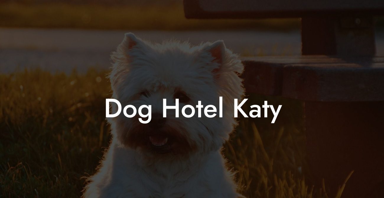 Dog Hotel Katy