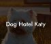 Dog Hotel Katy