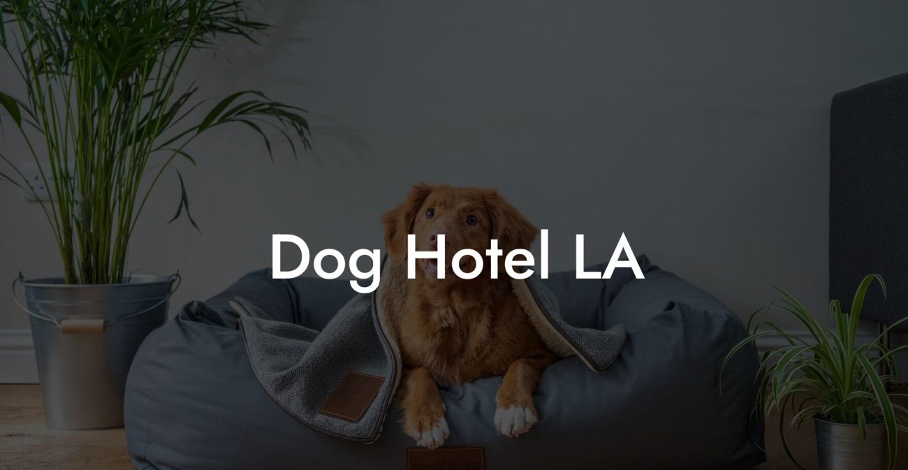 Dog Hotel LA