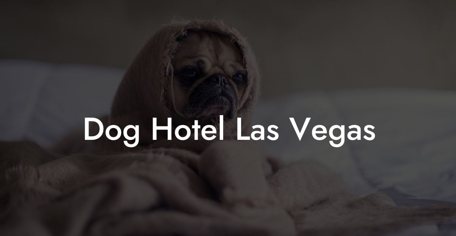 Dog Hotel Las Vegas Dog Hotels