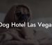 Dog Hotel Las Vegas
