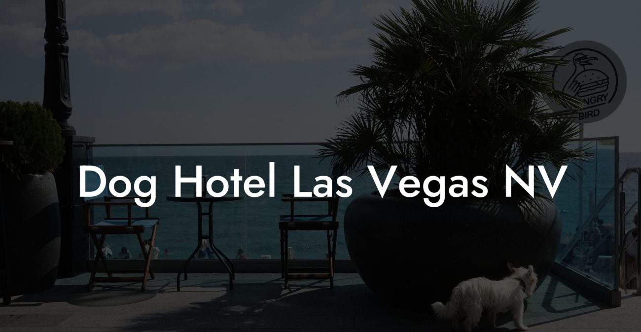 Dog Hotel Las Vegas NV