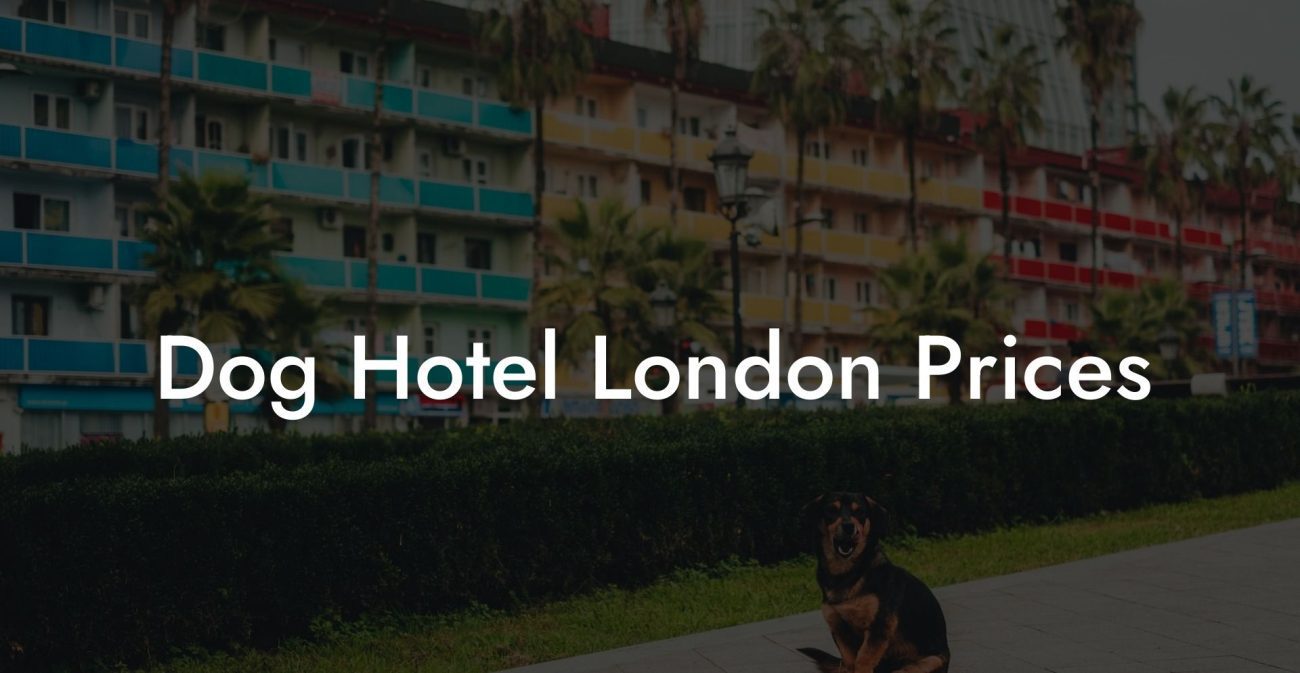 Dog Hotel London Prices