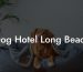 Dog Hotel Long Beach