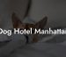 Dog Hotel Manhattan