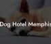 Dog Hotel Memphis