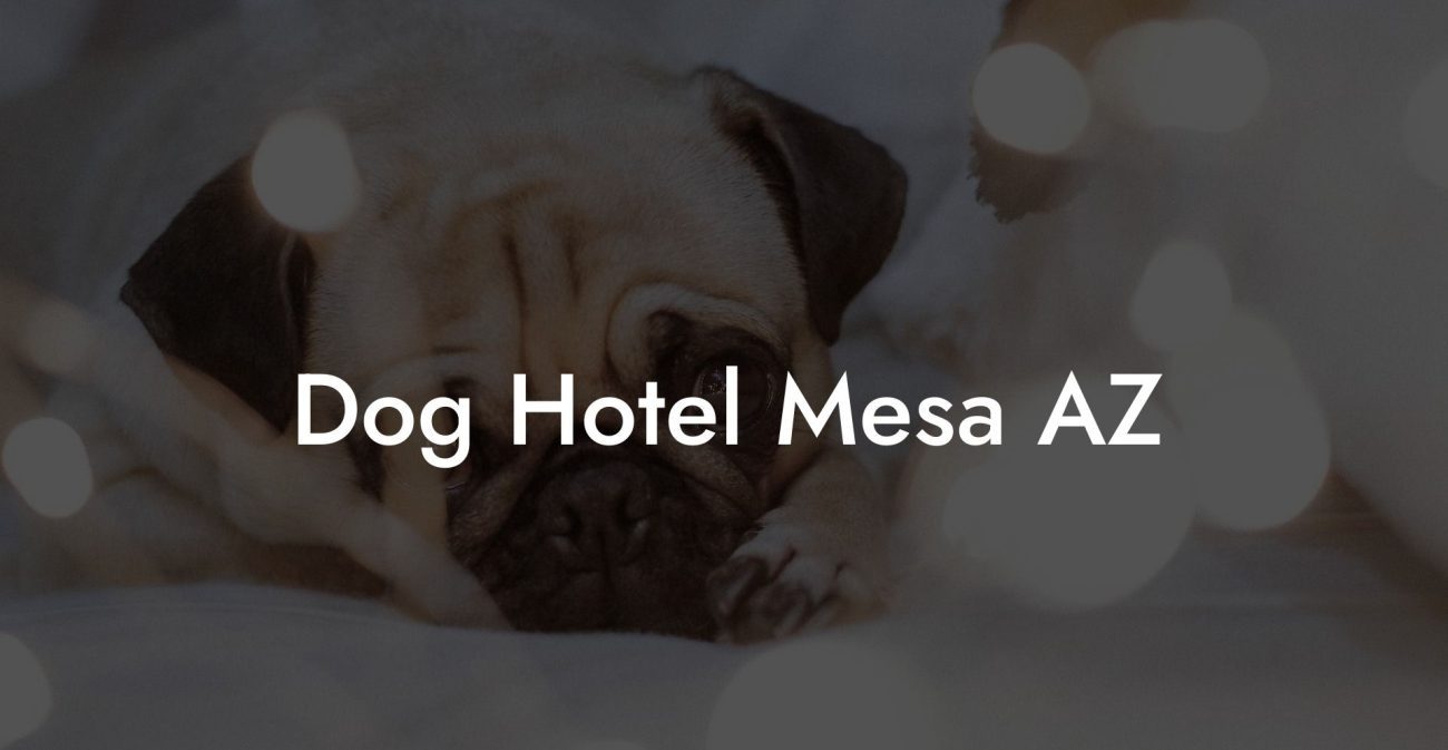 Dog Hotel Mesa AZ