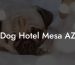 Dog Hotel Mesa AZ
