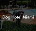 Dog Hotel Miami