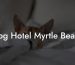 Dog Hotel Myrtle Beach