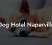 Dog Hotel Naperville