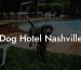Dog Hotel Nashville