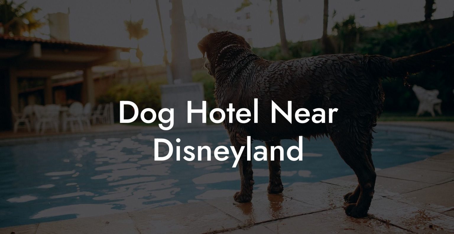 Dog Hotel Near Disneyland Dog Hotels