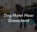 Dog Hotel Near Disneyland