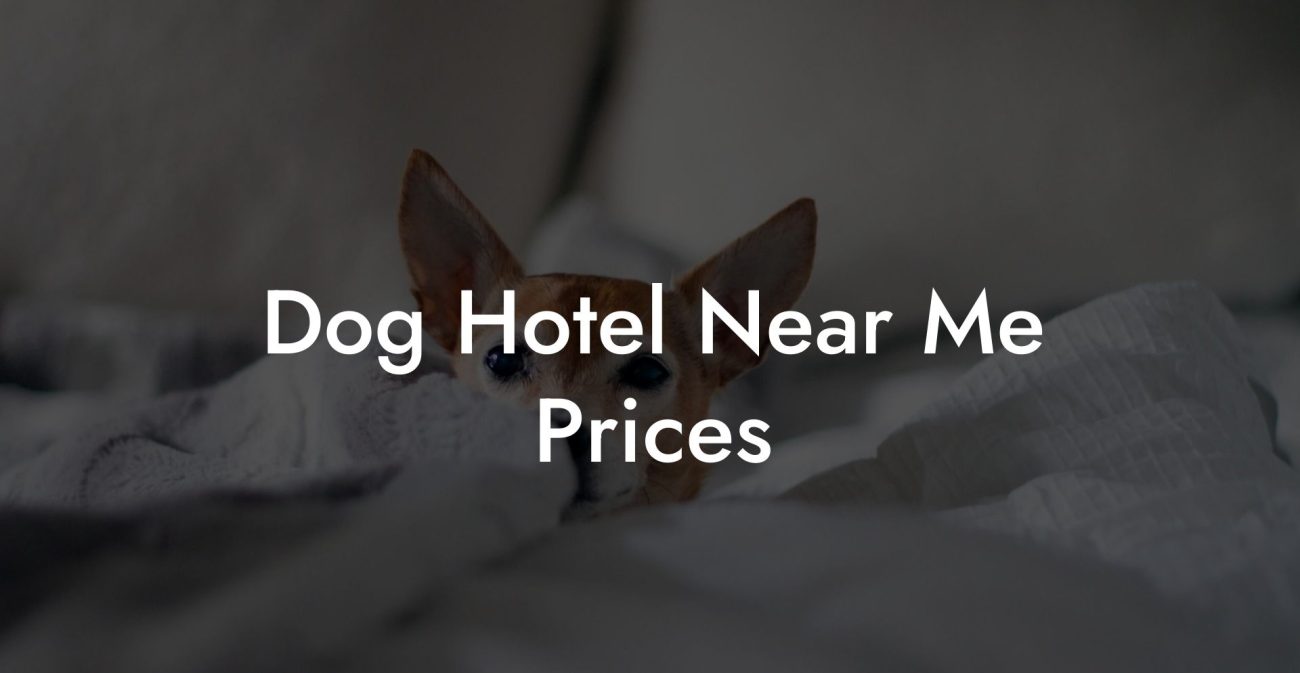 Dog Hotel Near Me Prices