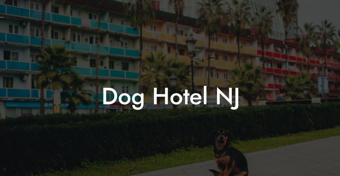 Dog Hotel NJ