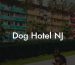 Dog Hotel NJ