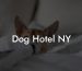 Dog Hotel NY