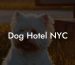 Dog Hotel NYC