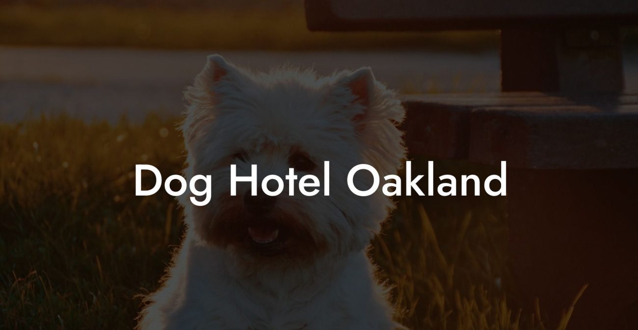 Dog Hotel Oakland