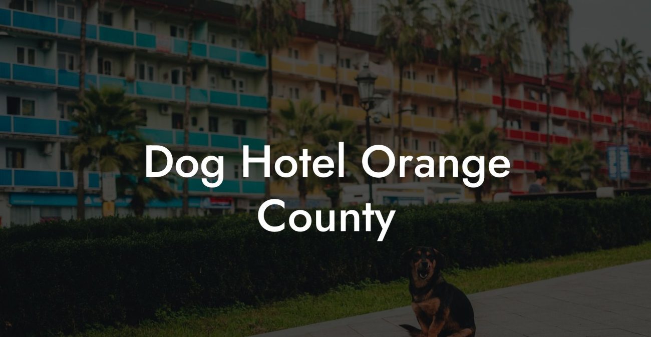 Dog Hotel Orange County