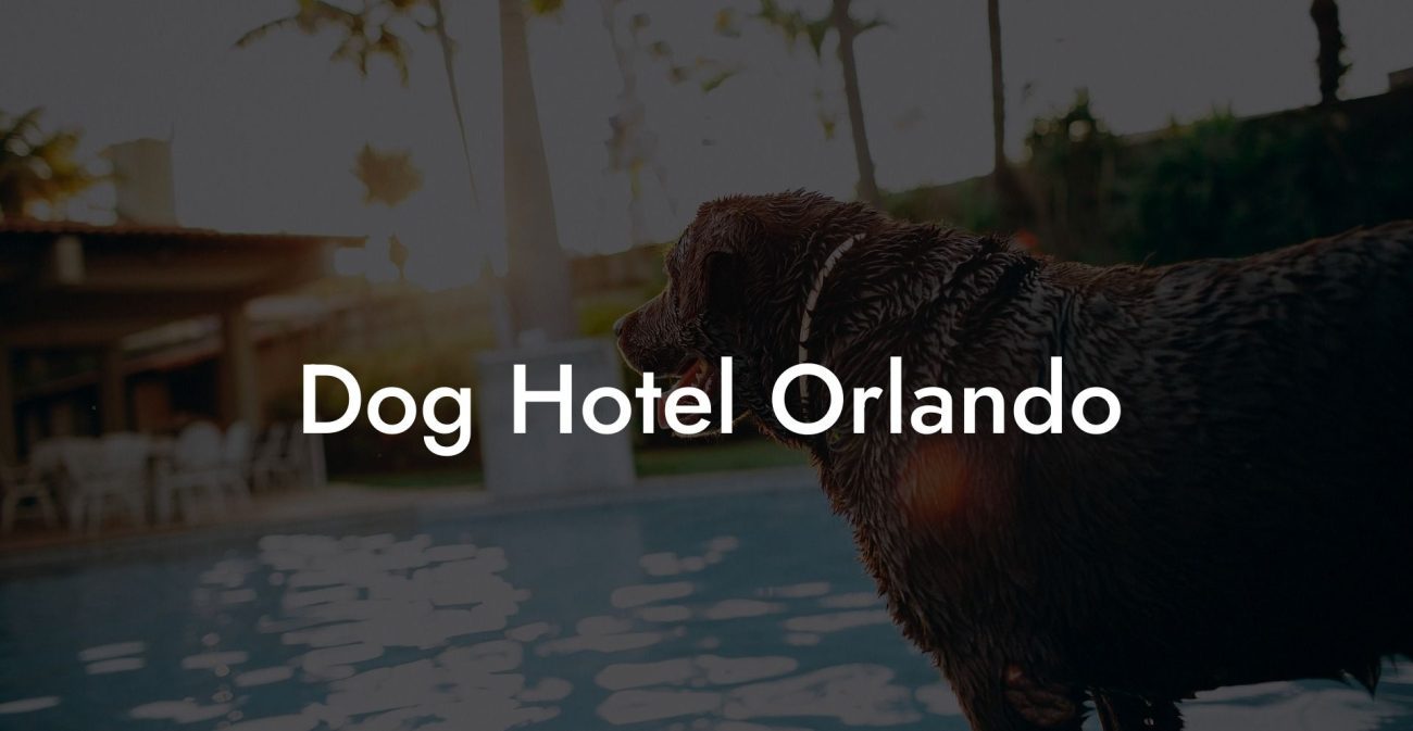 Dog Hotel Orlando