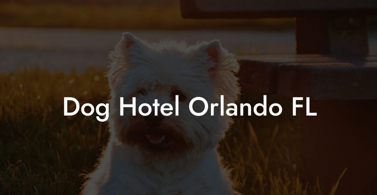 Dog Hotel Orlando FL
