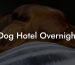 Dog Hotel Overnight