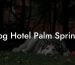 Dog Hotel Palm Springs