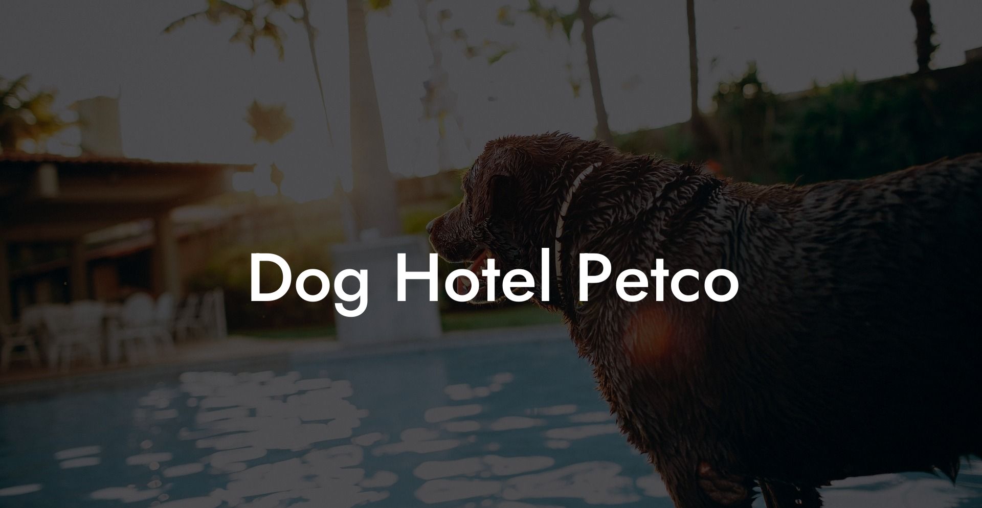Dog Hotel Petco