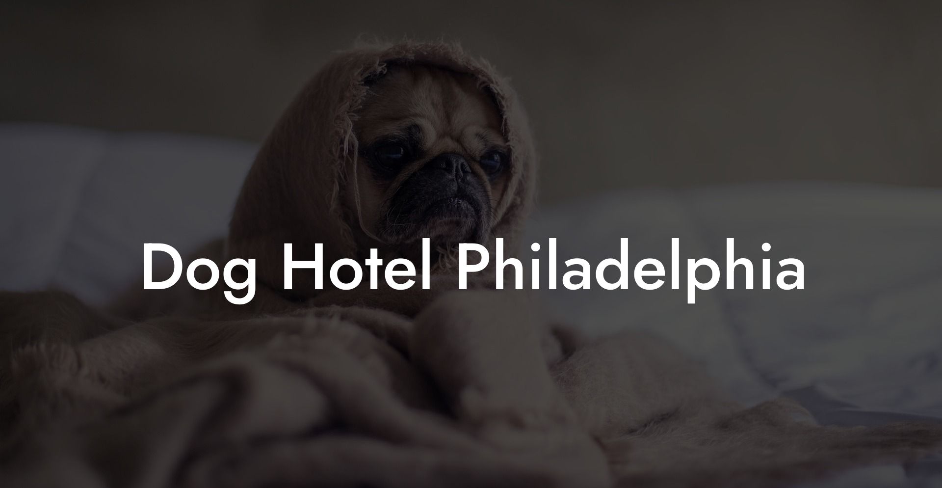 Dog Hotel Philadelphia