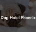 Dog Hotel Phoenix