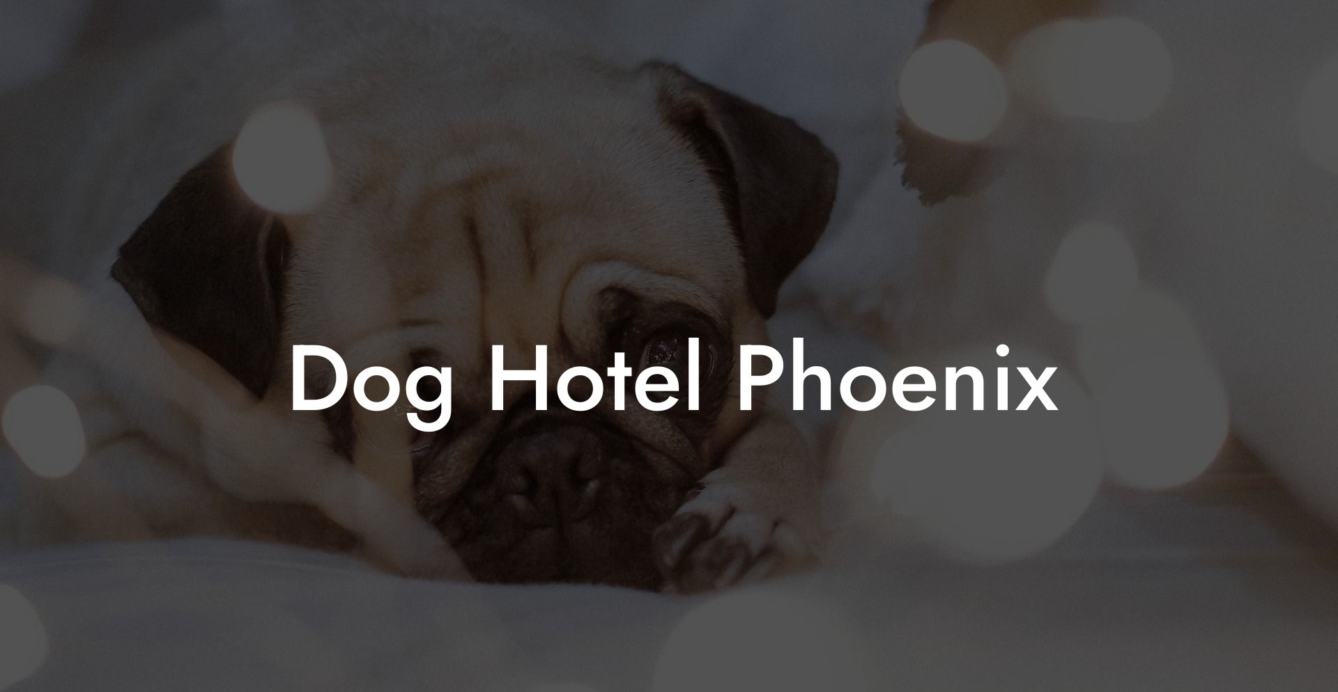 Dog Hotel Phoenix