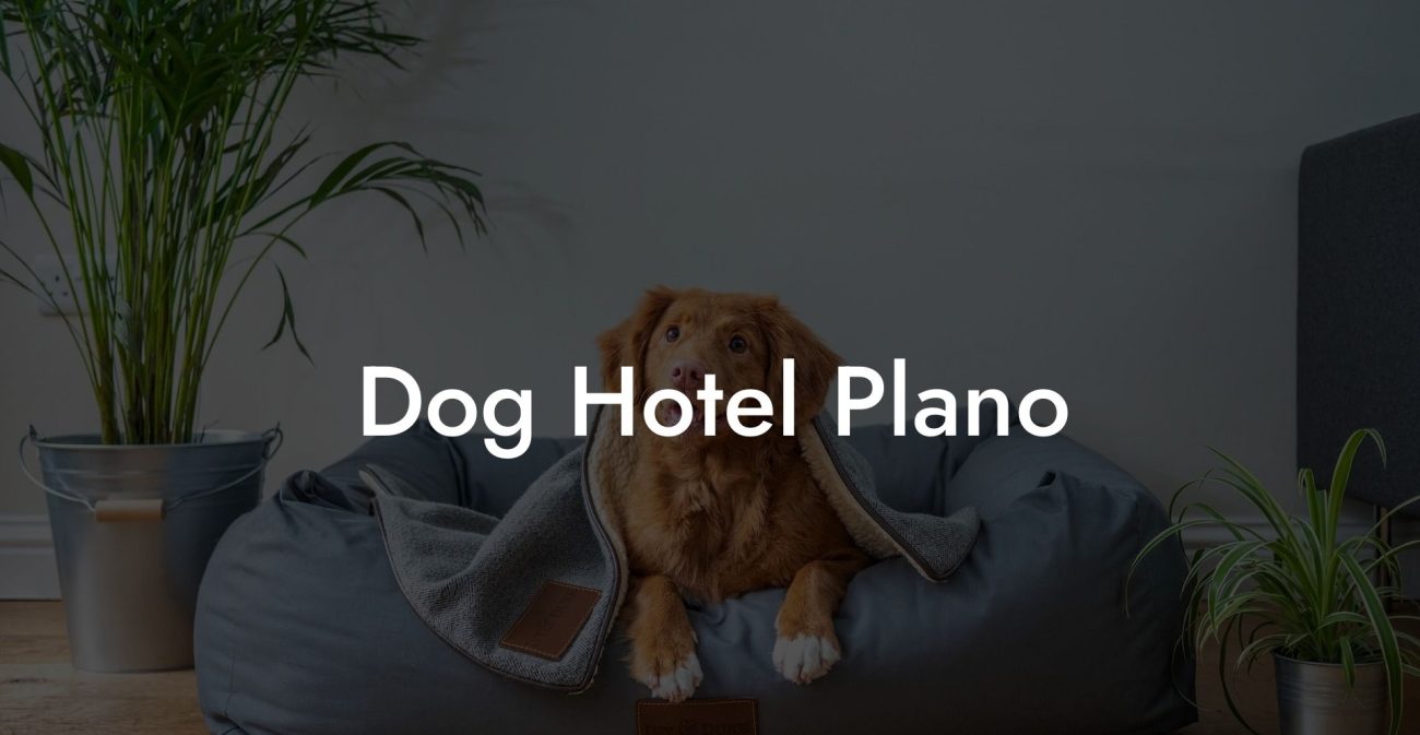 Dog Hotel Plano