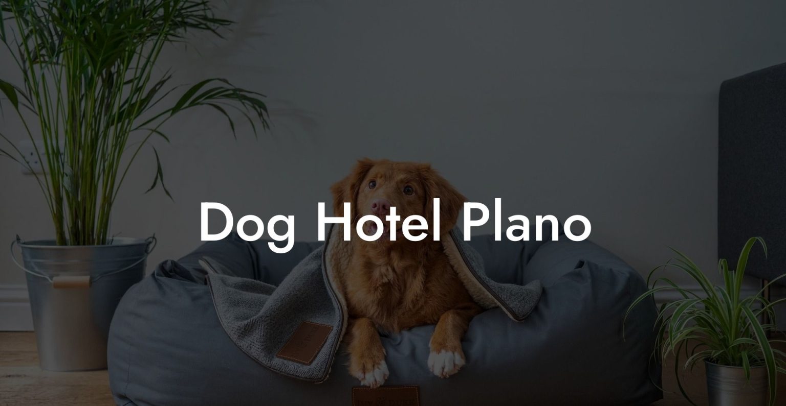 Dog Hotel Plano Dog Hotels