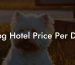 Dog Hotel Price Per Day
