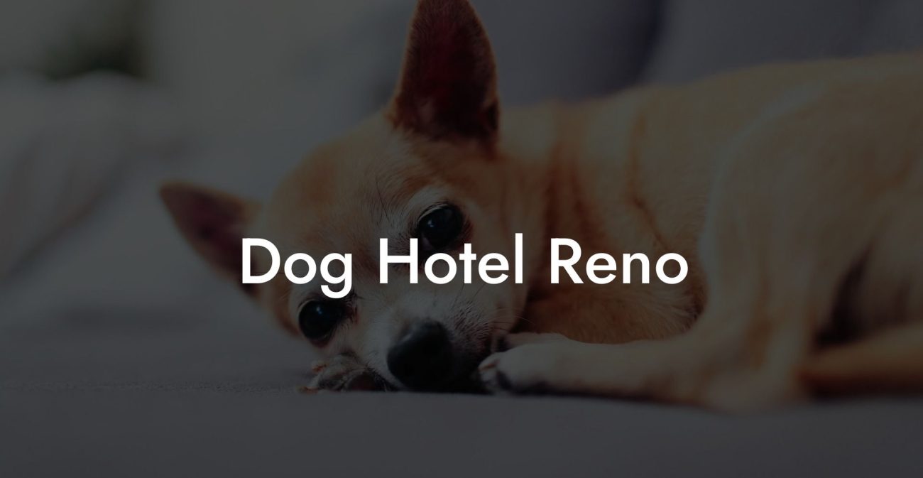 Dog Hotel Reno