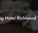 Dog Hotel Richmond Va