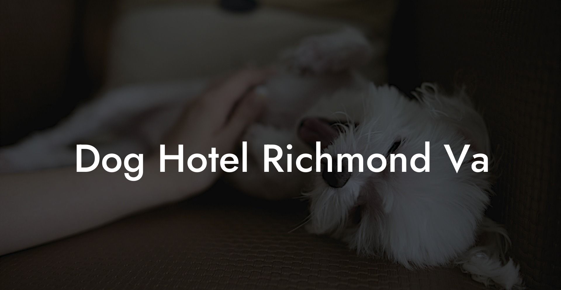 Dog Hotel Richmond Va